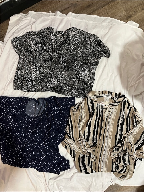 Serengeti Tops - Serengeti Beige Black White Striped Print Blouse